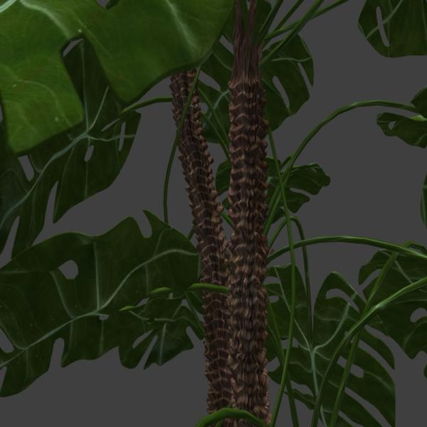 大叶盆栽-动植物-VR/AR模型-3D城