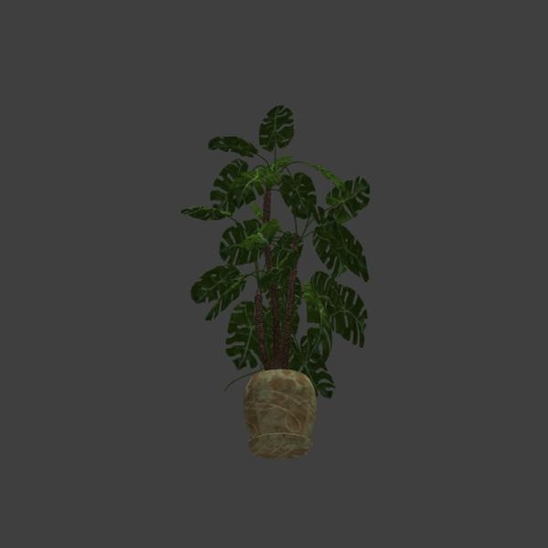 大叶盆栽-动植物-VR/AR模型-3D城