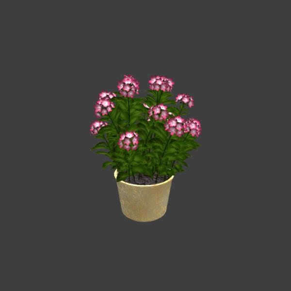 粉红色小花植物盆栽-动植物-VR/AR模型-3D城