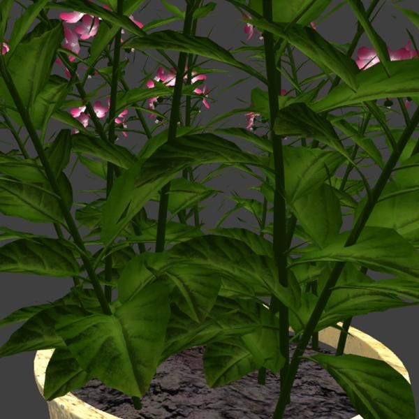 粉红色小花植物盆栽-动植物-VR/AR模型-3D城
