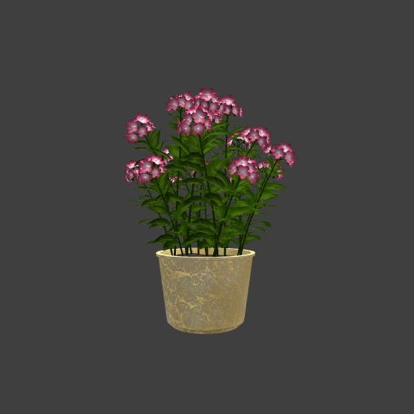 粉红色小花植物盆栽-动植物-VR/AR模型-3D城