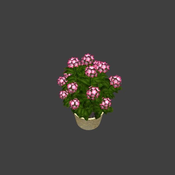 粉红色小花植物盆栽-动植物-VR/AR模型-3D城