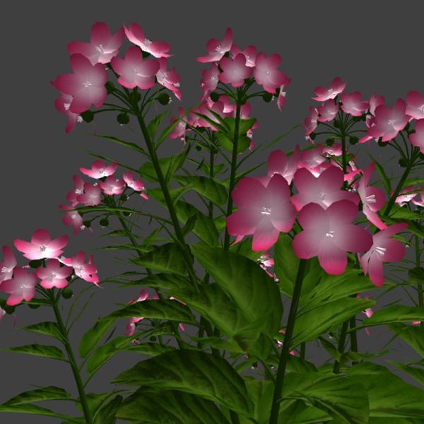 粉红色小花植物盆栽-动植物-VR/AR模型-3D城
