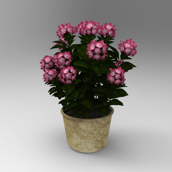 粉红色小花植物盆栽-动植物-VR/AR模型-3D城