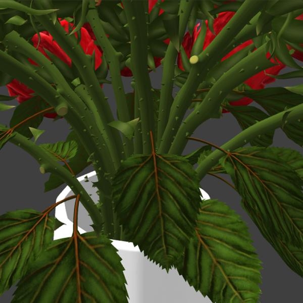 红色玫瑰花-动植物-VR/AR模型-3D城