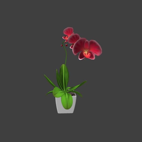 蝴蝶兰-动植物-VR/AR模型-3D城