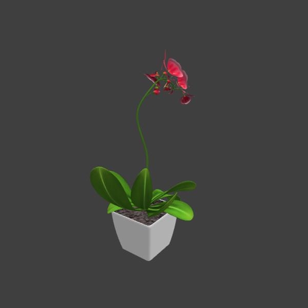 蝴蝶兰-动植物-VR/AR模型-3D城