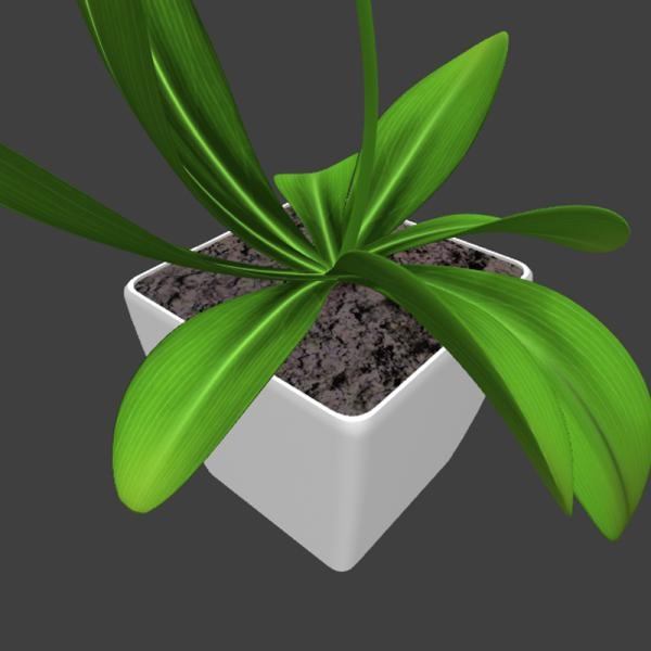 蝴蝶兰-动植物-VR/AR模型-3D城