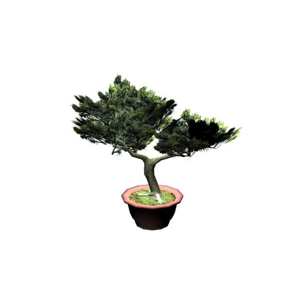 盆栽-动植物-盆栽-VR/AR模型-3D城