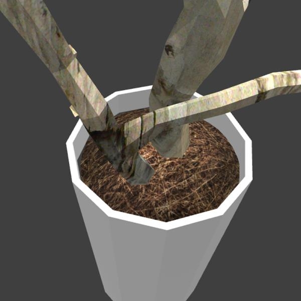 枯木植物-动植物-VR/AR模型-3D城