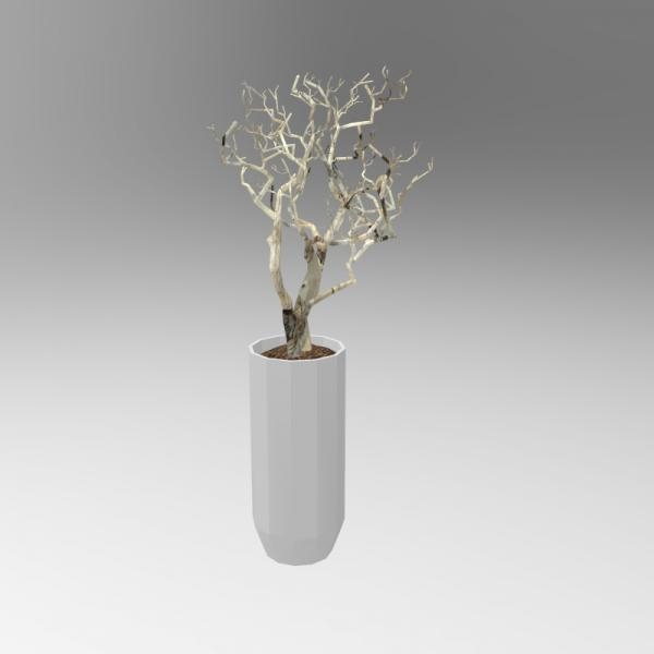 枯木植物-动植物-VR/AR模型-3D城