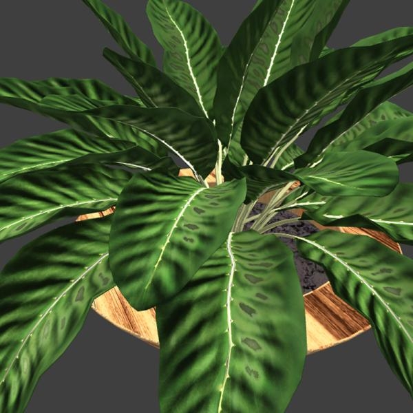 植物盆栽-动植物-VR/AR模型-3D城