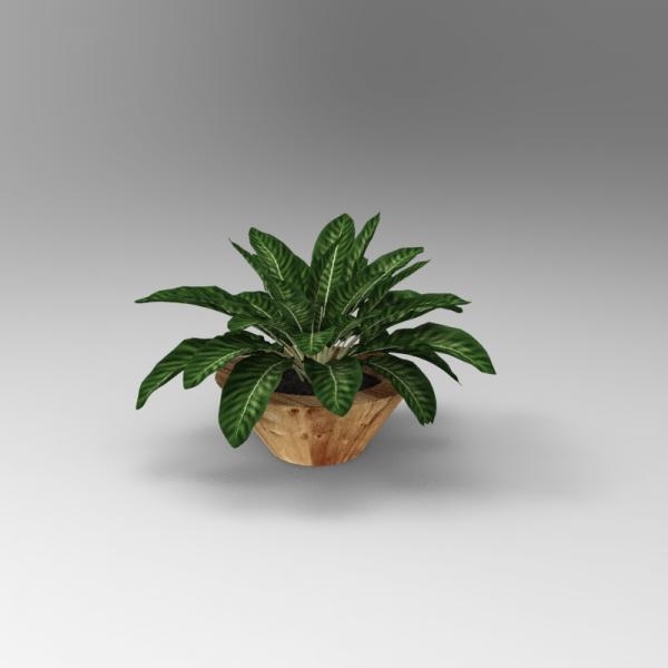 植物盆栽-动植物-VR/AR模型-3D城