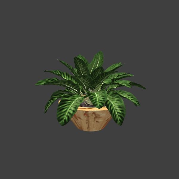 植物盆栽-动植物-VR/AR模型-3D城