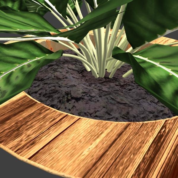 植物盆栽-动植物-VR/AR模型-3D城