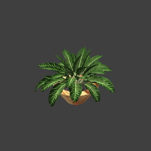 植物盆栽-动植物-VR/AR模型-3D城