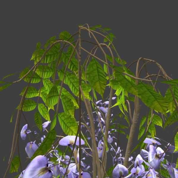 紫色小花盆栽-动植物-VR/AR模型-3D城