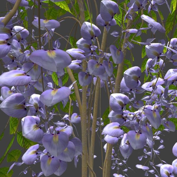 紫色小花盆栽-动植物-VR/AR模型-3D城