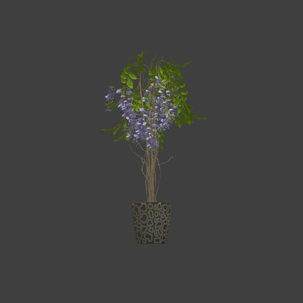 紫色小花盆栽-动植物-VR/AR模型-3D城