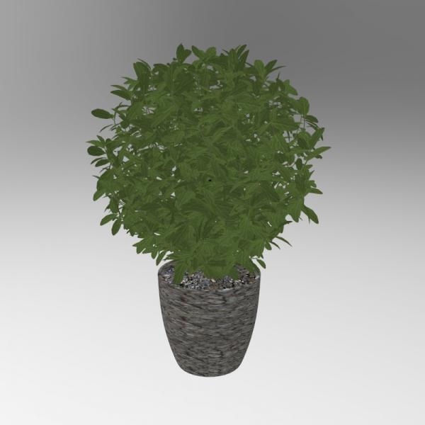 植物盆栽-动植物-VR/AR模型-3D城