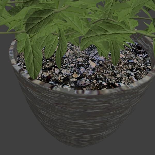 植物盆栽-动植物-VR/AR模型-3D城