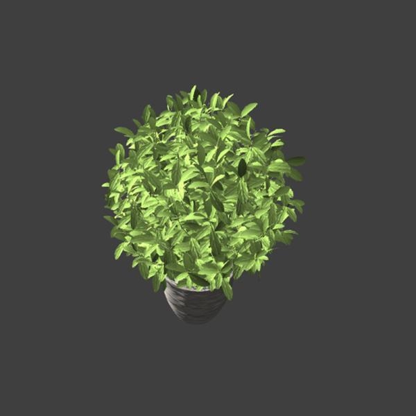 植物盆栽-动植物-VR/AR模型-3D城