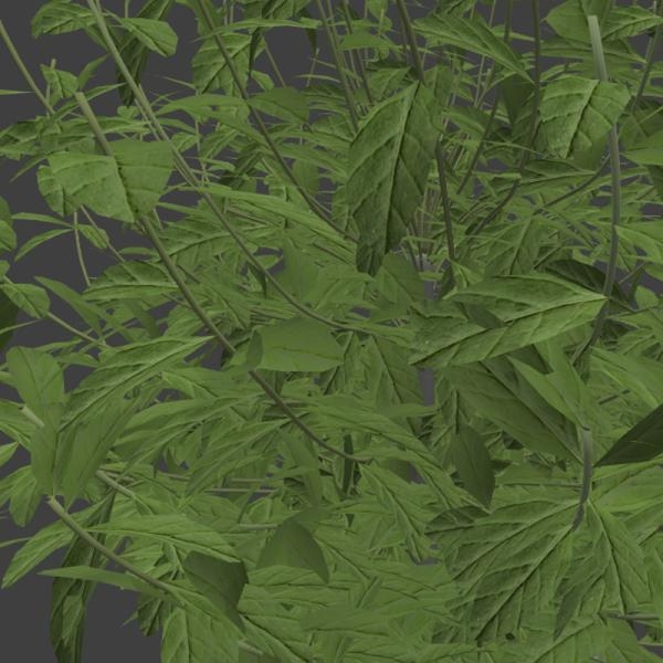 植物盆栽-动植物-VR/AR模型-3D城