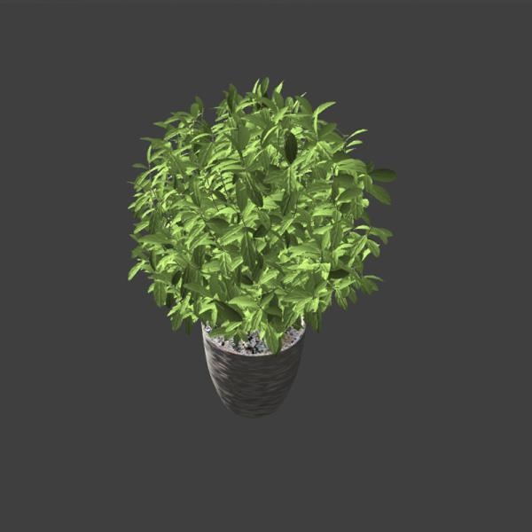 植物盆栽-动植物-VR/AR模型-3D城