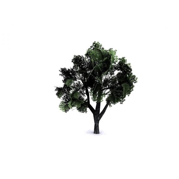树-动植物-植物-VR/AR模型-3D城