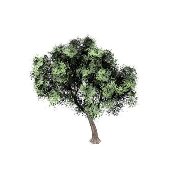 树-动植物-植物-VR/AR模型-3D城