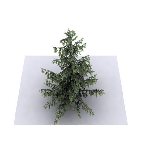 树-动植物-植物-VR/AR模型-3D城