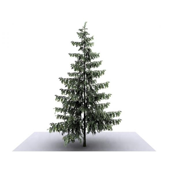 树-动植物-植物-VR/AR模型-3D城