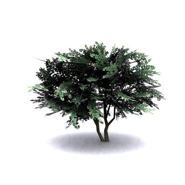花树-动植物-植物-VR/AR模型-3D城