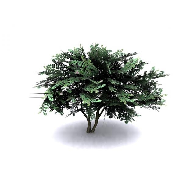 花树-动植物-植物-VR/AR模型-3D城