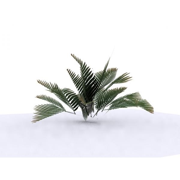植被-动植物-植物-VR/AR模型-3D城