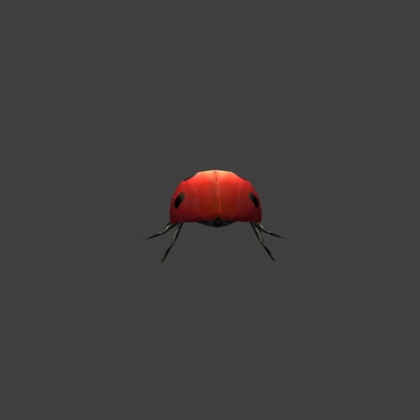 七星瓢虫-动植物-VR/AR模型-3D城