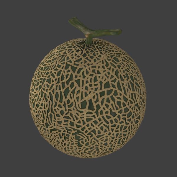 哈密瓜-文体生活-水果-VR/AR模型-3D城