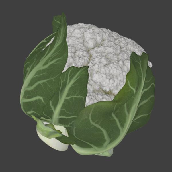 菜花-文体生活-蔬菜-VR/AR模型-3D城