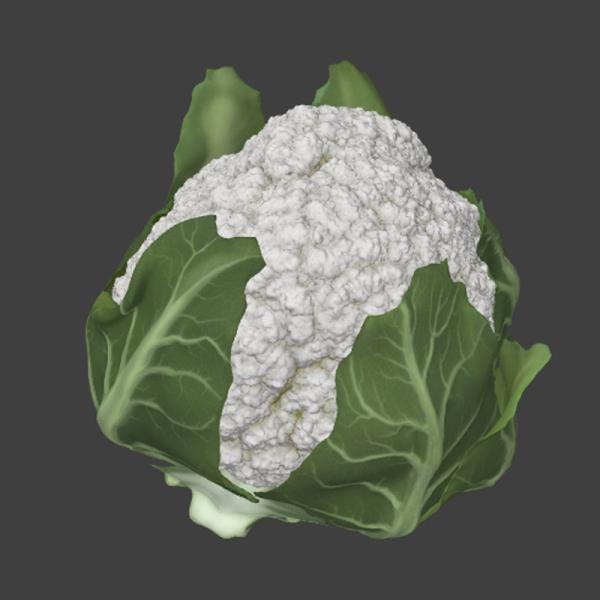 菜花-文体生活-蔬菜-VR/AR模型-3D城