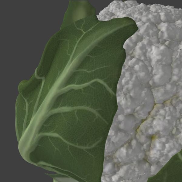 菜花-文体生活-蔬菜-VR/AR模型-3D城