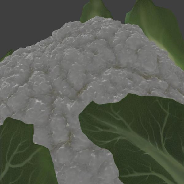菜花-文体生活-蔬菜-VR/AR模型-3D城