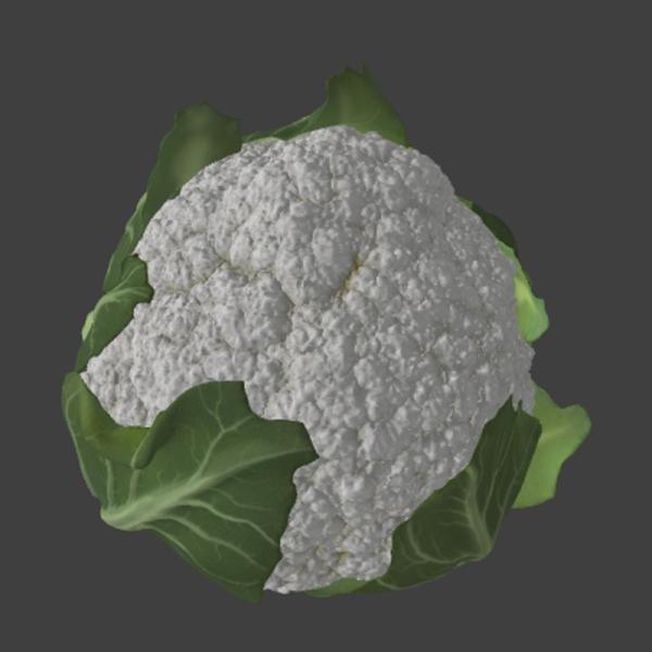 菜花-文体生活-蔬菜-VR/AR模型-3D城