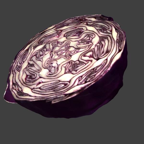 紫甘蓝-文体生活-蔬菜-VR/AR模型-3D城