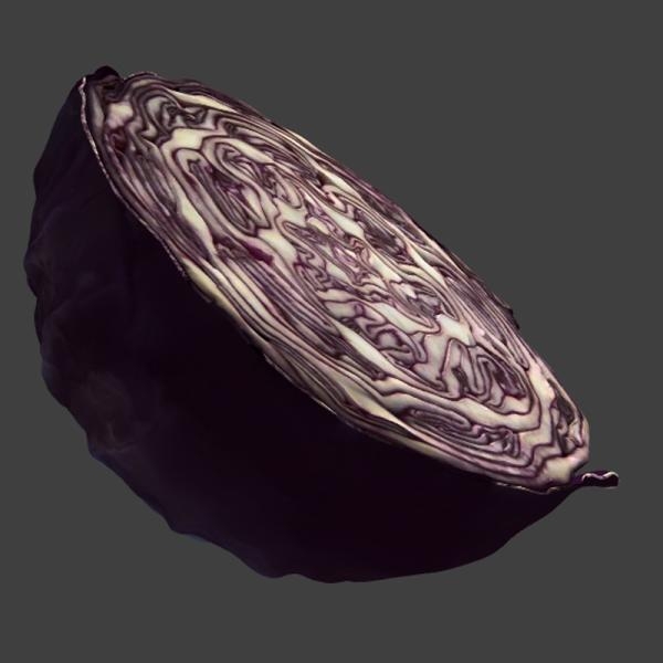 紫甘蓝-文体生活-蔬菜-VR/AR模型-3D城