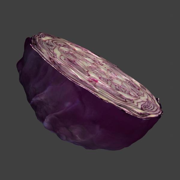 紫甘蓝-文体生活-蔬菜-VR/AR模型-3D城