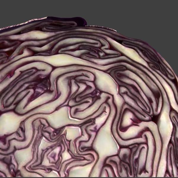 紫甘蓝-文体生活-蔬菜-VR/AR模型-3D城