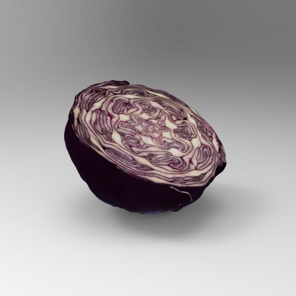 紫甘蓝-文体生活-蔬菜-VR/AR模型-3D城