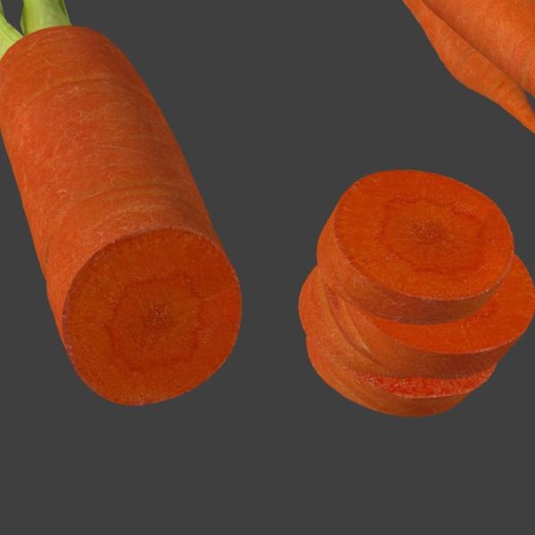 胡萝卜-文体生活-蔬菜-VR/AR模型-3D城