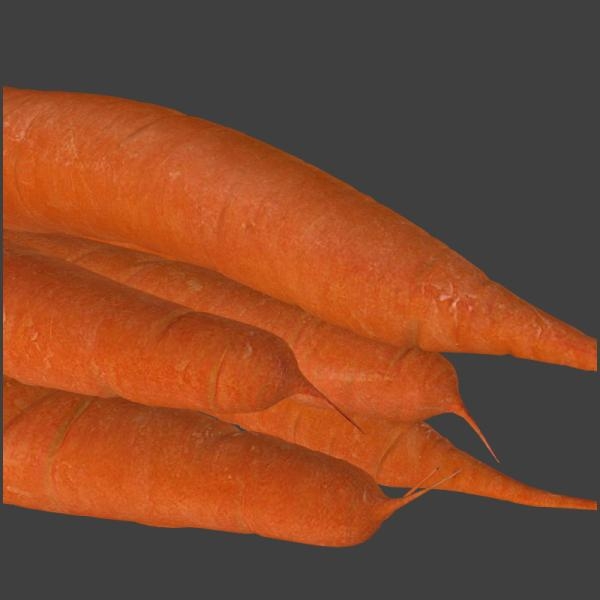 胡萝卜-文体生活-蔬菜-VR/AR模型-3D城