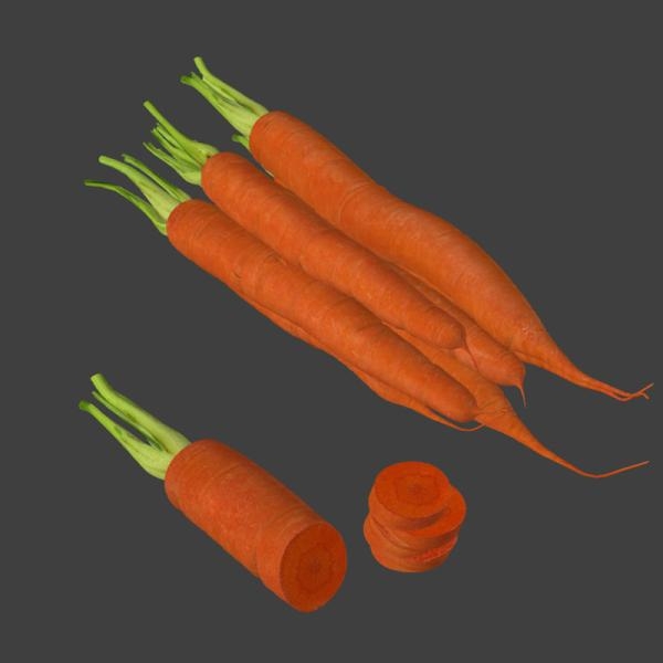 胡萝卜-文体生活-蔬菜-VR/AR模型-3D城